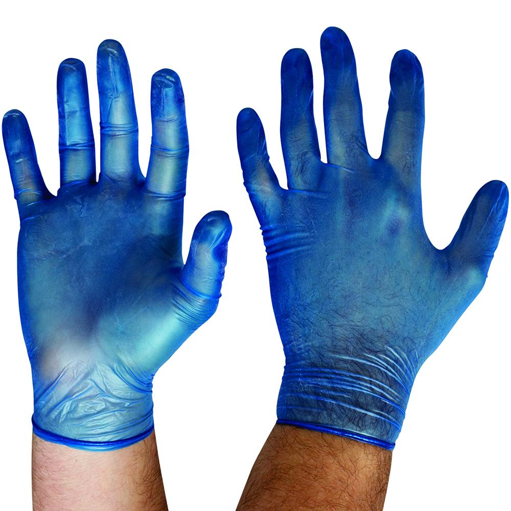 Pro Choice Safety Gear Dvbpf Disposable Vinyl Powder Free Blue Gloves